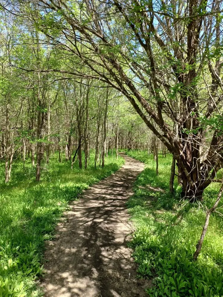 McKinney Falls State Park